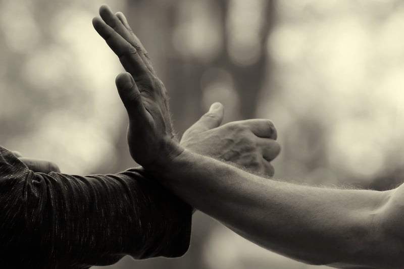 Tai Chi Silhouette